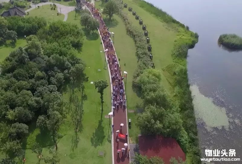 点击打开原图