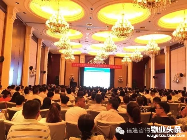 点击打开原图