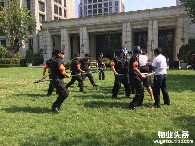 点击打开原图