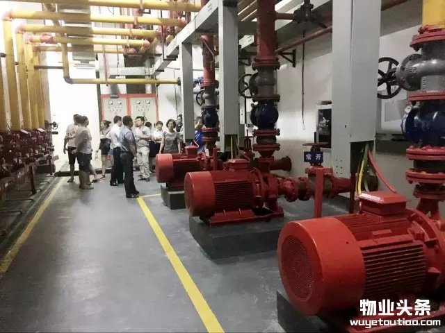 点击打开原图