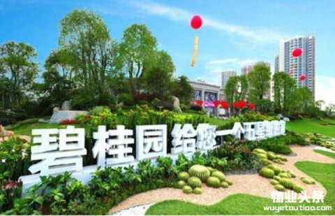 碧桂园物业IPO 房地产物业迎来大洗牌