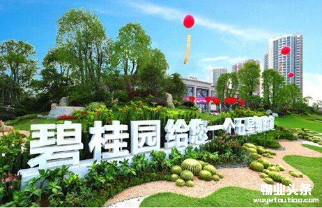 碧桂园物业IPO