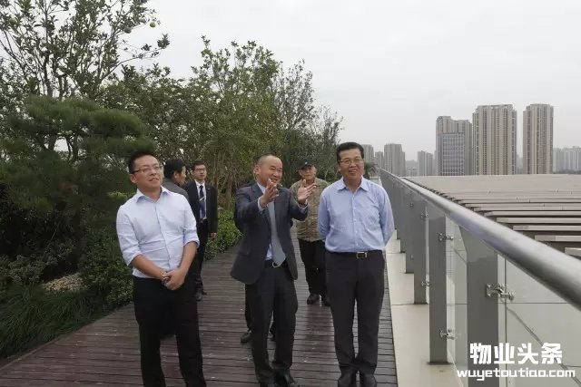 点击打开原图