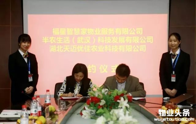 点击打开原图
