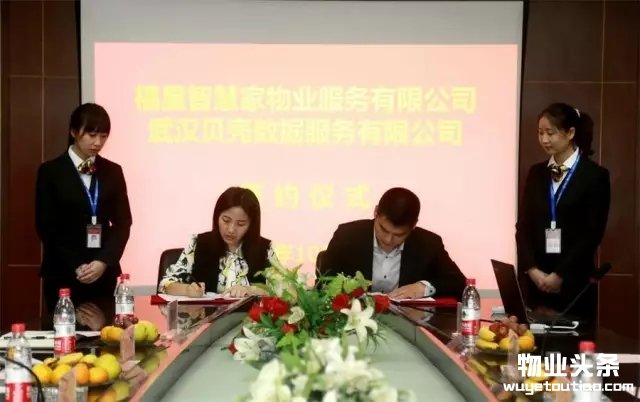 点击打开原图