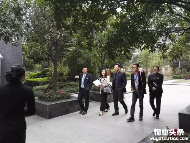 点击打开原图