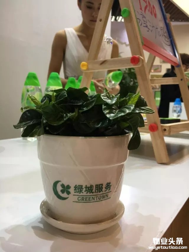 点击打开原图