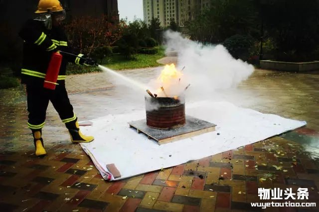点击打开原图