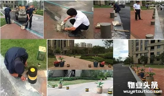 点击打开原图