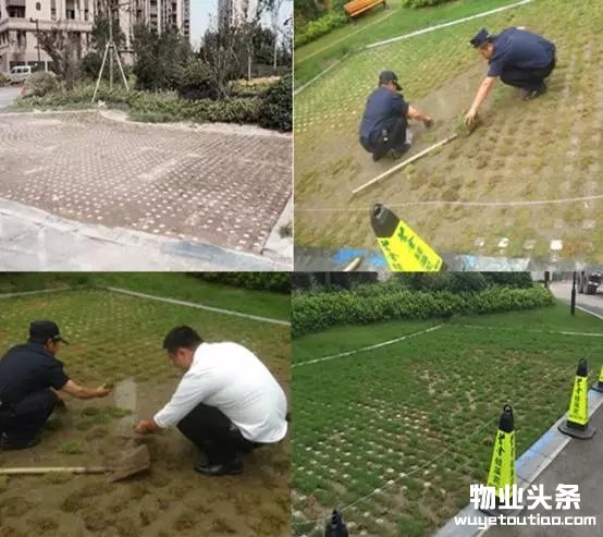 点击打开原图