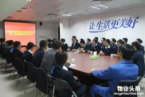 深圳保利佳物业共青团支部正式成立