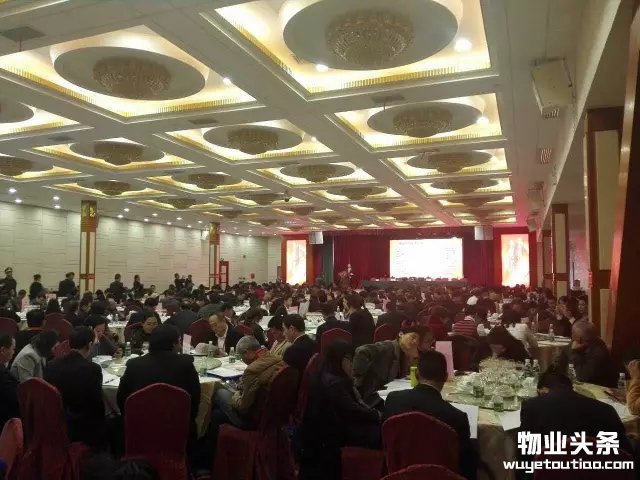 点击打开原图