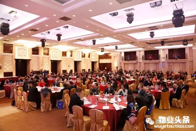 点击打开原图