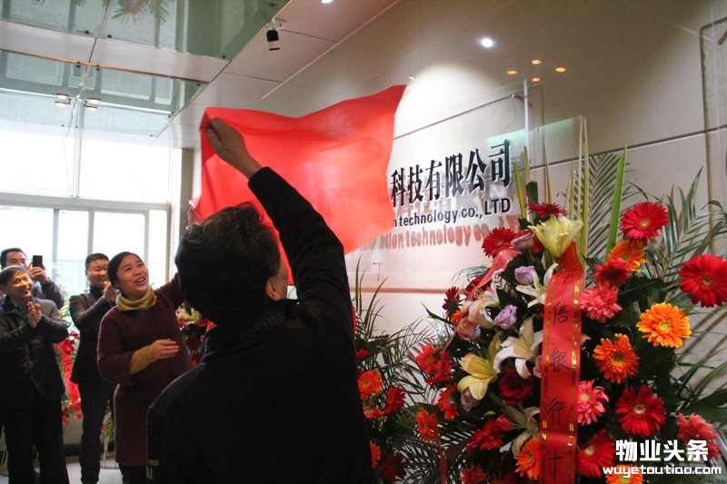 点击打开原图