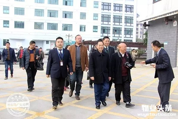 点击打开原图