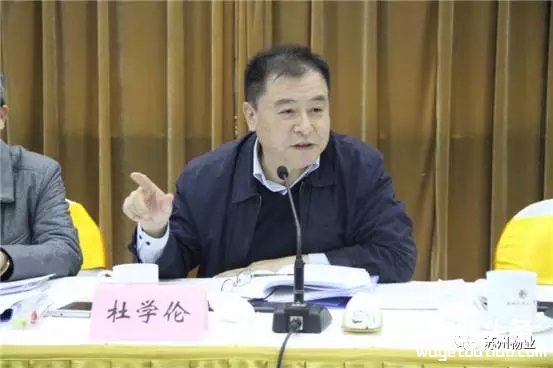 点击打开原图