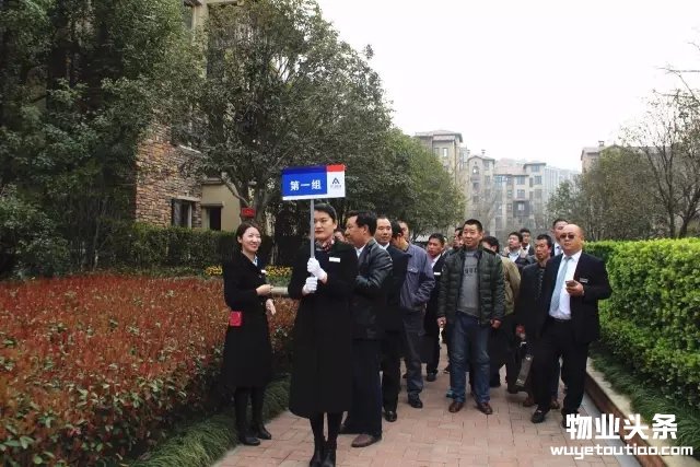 点击打开原图