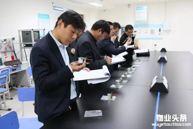 点击打开原图