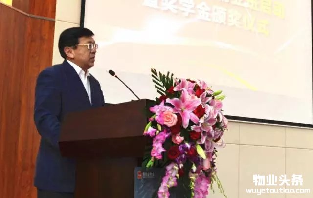 点击打开原图