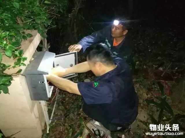 点击打开原图