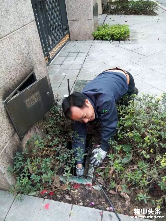 点击打开原图