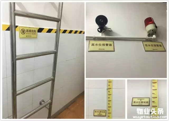 点击打开原图