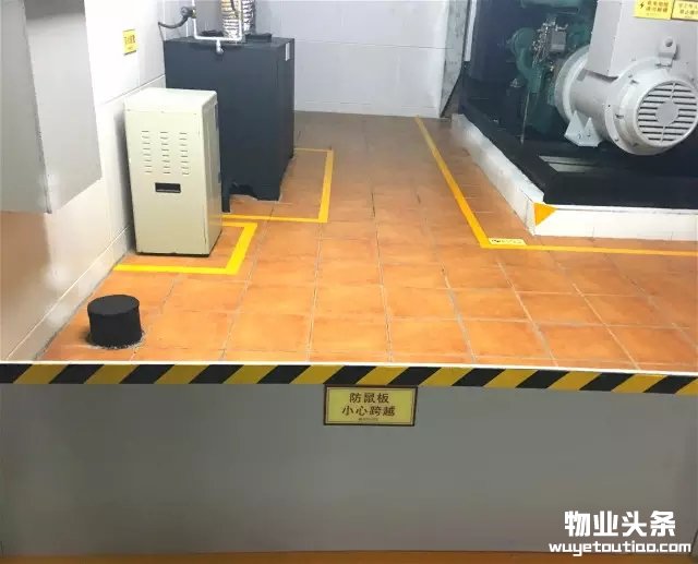 点击打开原图