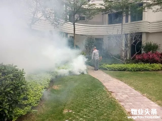 点击打开原图