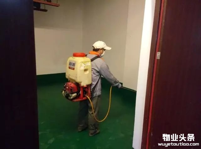 点击打开原图