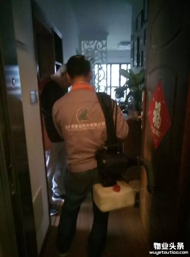 点击打开原图