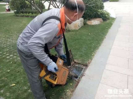 雅居乐物业告诉你灭蚊子最有效的方法