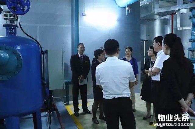 点击打开原图