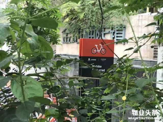 点击打开原图