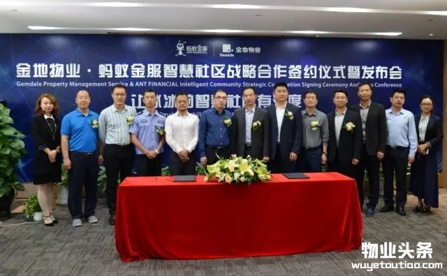 点击打开原图