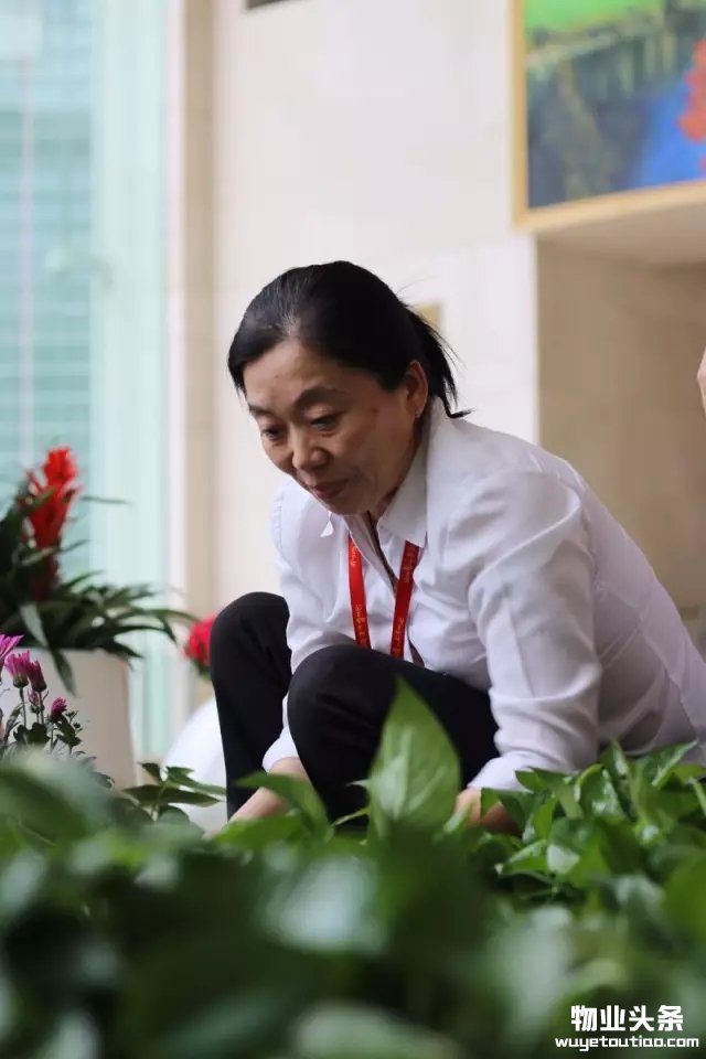 点击打开原图