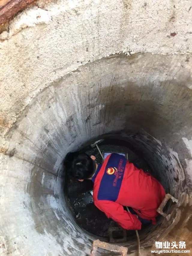 点击打开原图