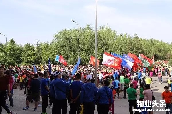 点击打开原图