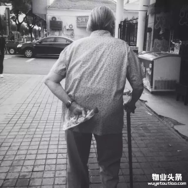 点击打开原图