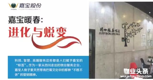 点击打开原图