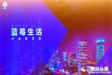 中小物业发展联盟推出“蓝莓生活”物业管理APP