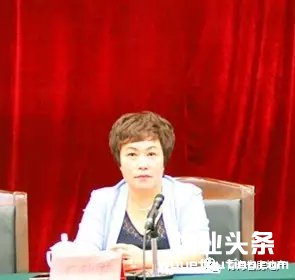 青海省物业管理协会会长 丁秋花