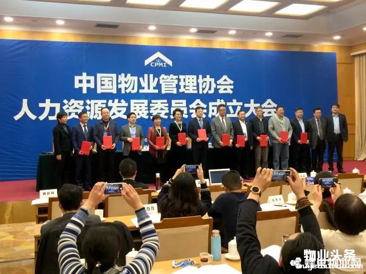 点击打开原图