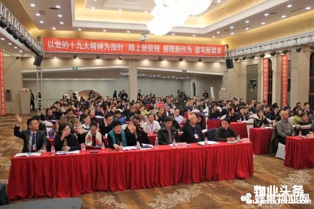 点击打开原图 会员表决各项议程