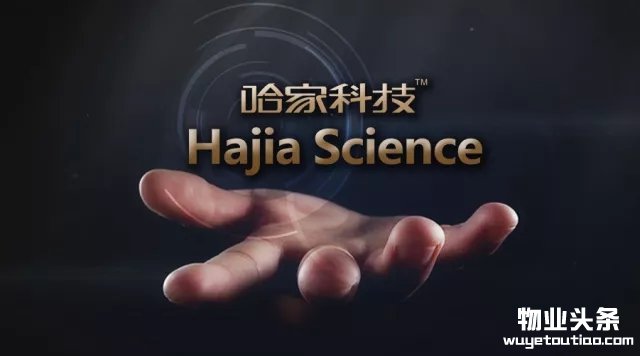 点击打开原图