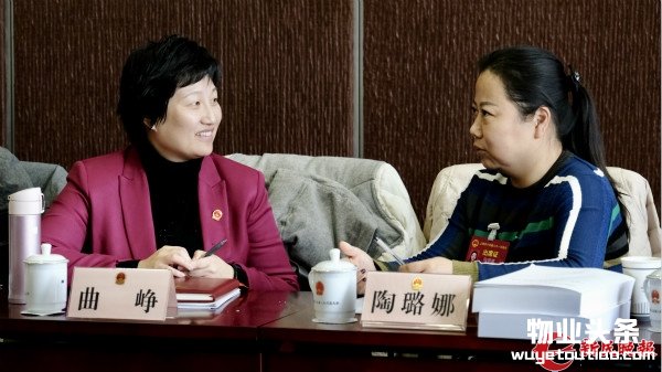 市人大代表曲峥、陶璐娜正讨论物业管理问题