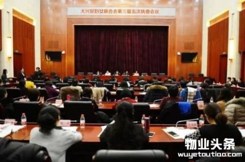鸿坤金服王利丽当选大兴区妇联执委、兼职副主席：贡献己力，尽责社会