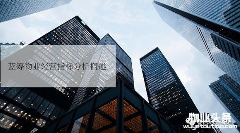 蓝筹物业经营指标分析概述