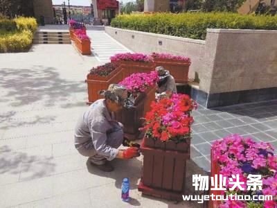 乌鲁木齐四级物业监管体系提升物业服务水平