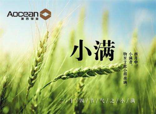 2019物企小满海报大赏