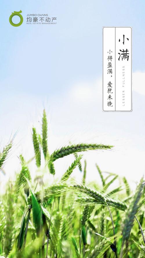 2019物企小满海报大赏